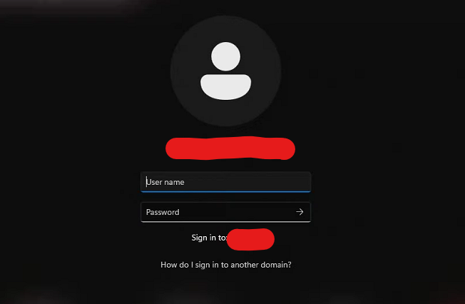Windows Autologon Software
